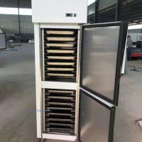 供應(yīng)2門(mén)速凍柜