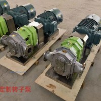 轉(zhuǎn)子泵定制