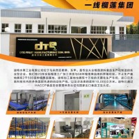 馬來(lái)西亞迪特果業(yè)（榴蓮果肉、榴蓮果泥）