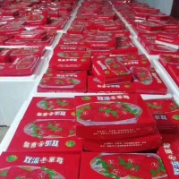 新鮮草莓，廠地直發(fā)
