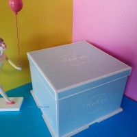 供應(yīng)時(shí)尚紙質(zhì)蛋糕盒