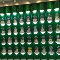 網(wǎng)紅星空球蛋糕罩