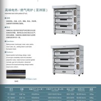 高端電熱 燃?xì)饪緺t（亞洲版）