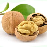 供應(yīng)汾陽(yáng)核桃