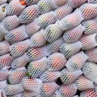 各種規(guī)格草莓大量供應