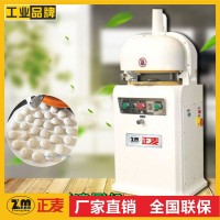 供應(yīng)全自動(dòng)30粒滾圓機(jī)