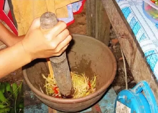 未成熟的青芒果被稱為情人果。是集“色”、“香”、“味”和“營養(yǎng)”為一身的果中佳品，含有大量的營養(yǎng)元素。