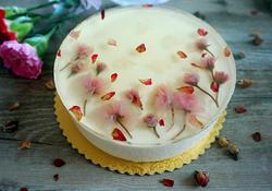 櫻花鏡面芝士蛋糕的做法 芝士蛋糕怎么做好吃