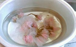 櫻花鏡面芝士蛋糕的做法 芝士蛋糕怎么做好吃