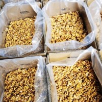 核桃仁專(zhuān)業(yè)廠(chǎng)家