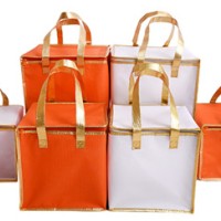 保溫保冷袋廠家直銷(xiāo)