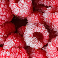 求購冷凍樹莓、黑莓