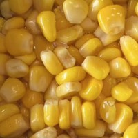 求購(gòu)玉米罐頭、綠豆罐頭