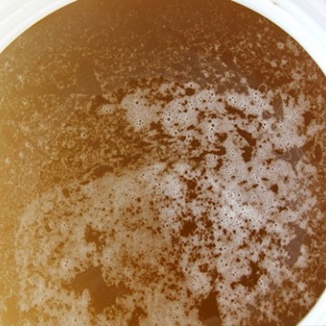 桶裝蜂蜜，烘焙原料