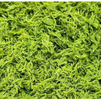 連鎖店求購開心果面包絲