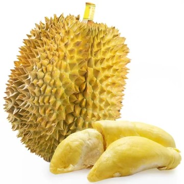 泰國金枕頭榴蓮D159